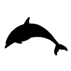 Delfin 1