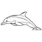 Delfin 2